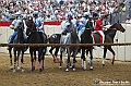 VBS_1212 - Palio di Asti 2024
